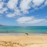 Marsin P 303 * Las Palmas de Gran Canaria
